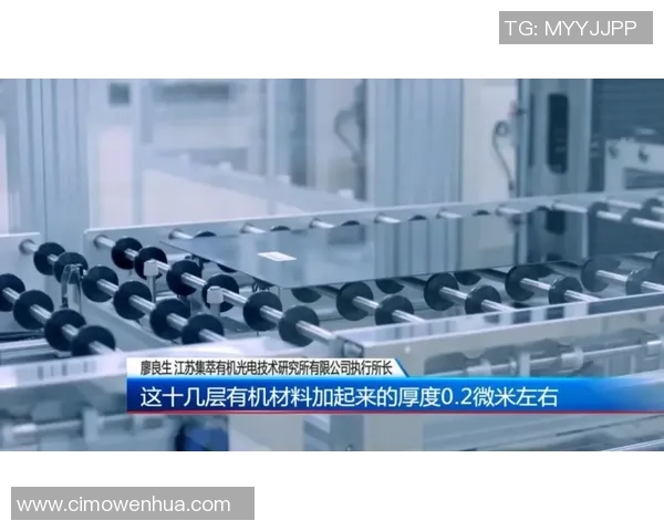 科学篮球：团队协作训练方法