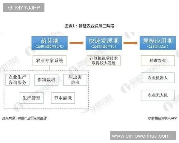 北京排球队的比赛经验分析与提升策略探讨