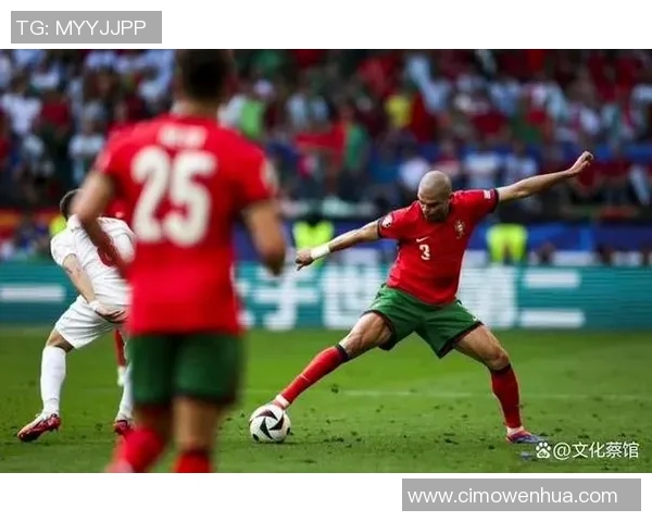 奥地利足球明星风采大揭秘他们如何在绿茵场上书写传奇