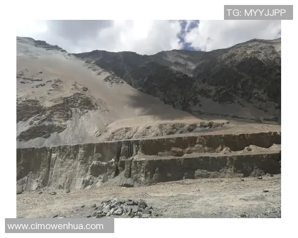 新球王崛起足球明星的荣耀与挑战之路