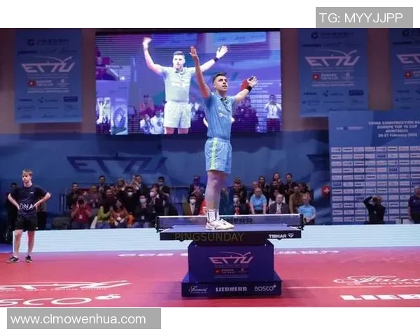 西安乒乓球队在欧锦赛中的心理素质分析与表现评估